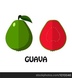 Vector Illustration Flat Guava isolated on white background , minimal style , Raw materials fresh fruit