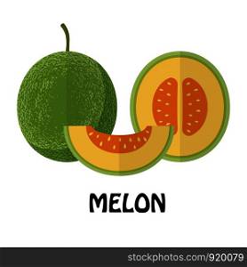 Vector Illustration Flat Melon isolated on white background , minimal style , Raw materials fresh fruit
