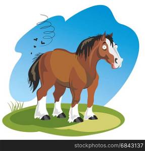 Vector illustration funny cartoon horse isolated on white background