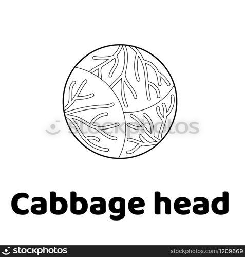 Vector illustration. Game for children. Vegetable. Coloring page cabbage head. Vector illustration. Game for children. Vegetable. Coloring page