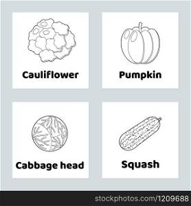 Vector illustration. Game for children. Vegetable. Set coloring page. pumpkin, cauliflower, cabbage head, squash