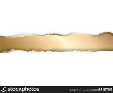 Vector illustration Gold torn paper. Template background. Gold and white torn paper. Template background