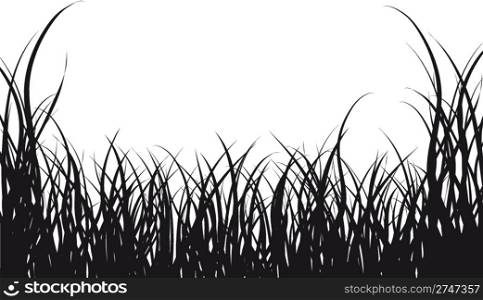 Vector illustration grass background for design usage