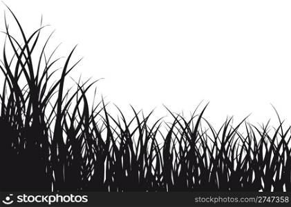Vector illustration grass background for design usage