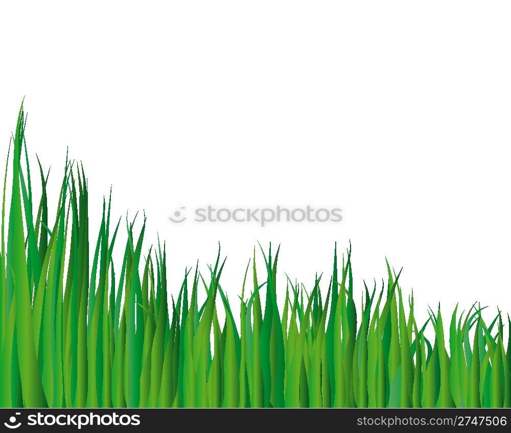 Vector Illustration Grass Background For Design Usage — Stockphotos.com