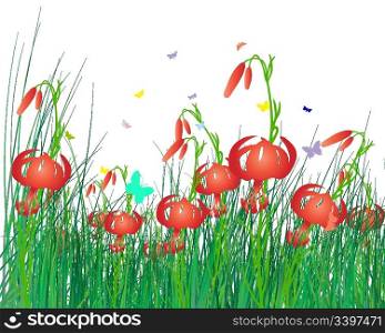 Vector illustration grass background with copy space