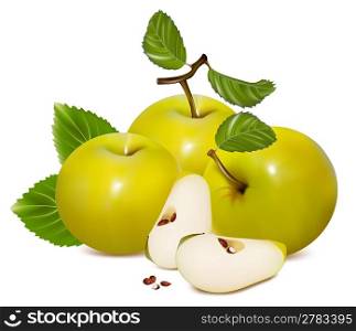 Vector illustration. Green apples.