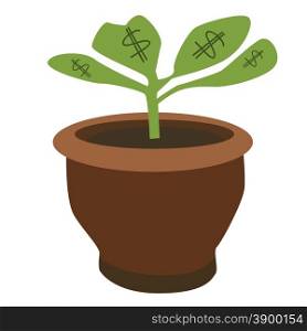 Vector illustration green dollar plant concept growing in flower pot isolated on white background