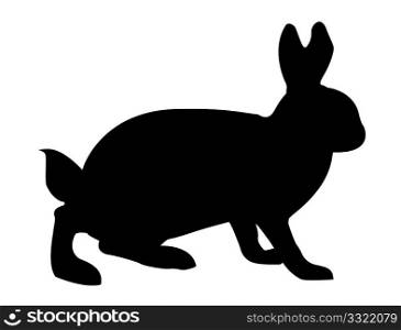 vector illustration hare on white background