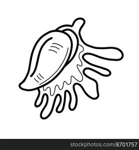 Vector illustration in linear style of shell of Lambis lambis on white isolated background. Picture of simple spider conch. doodle style