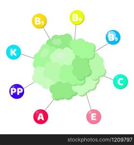 Vector illustration. Infographics. vitamins contained in vegetables. trace elements in colored circles. cauliflower