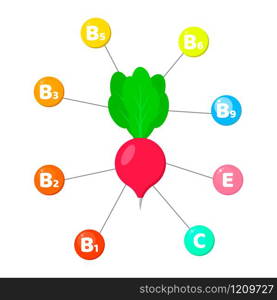 Vector illustration. Infographics. vitamins contained in vegetables. trace elements in colored circles. radish