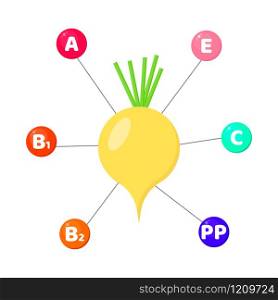 Vector illustration. Infographics. vitamins contained in vegetables. trace elements in colored circles. Turnip
