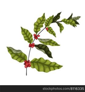 Vector illustration isolate on a white background a large branch of a coffee tree with berries and leaves in a cartoon style. Dark green leaves and red coffee berries for packaging and advertising design.