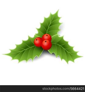 Vector illustration isolated realistic Christmas holly. EPS 10