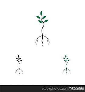 vector illustration logo and symbol of Mangrove trees and mangrove Forest Ecology