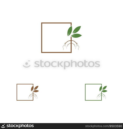 vector illustration logo and symbol of Mangrove trees and mangrove Forest Ecology