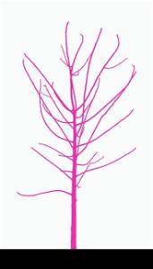 Vector illustration - lonely young tree, without leaves, isolated on white background.