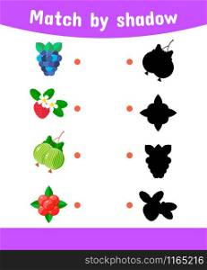 vector illustration. Matching game for children. Connect the shadow of the berries. blackberries, strawberries, gooseberries, cranberries