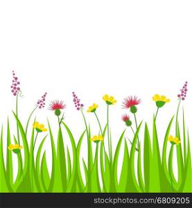 Vector illustration meadow with colorful flowers, floral background