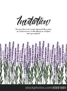 Vector illustration Natural background with purple lavender. Natural background with lavender
