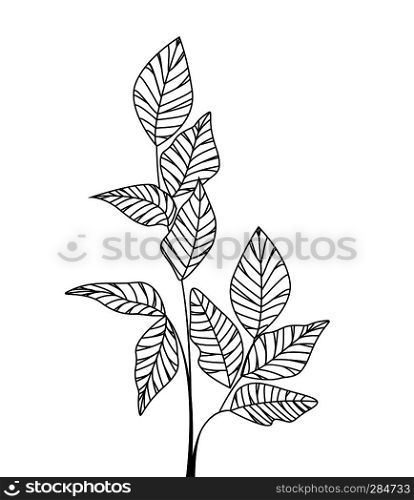 Vector illustration Natural background with silhouette leaves. Fresh leaves. Natural background with leaves