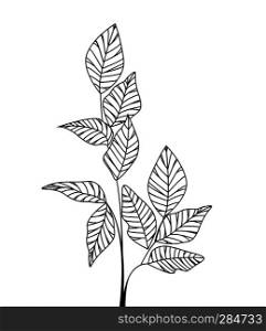 Vector illustration Natural background with silhouette leaves. Fresh leaves. Natural background with leaves