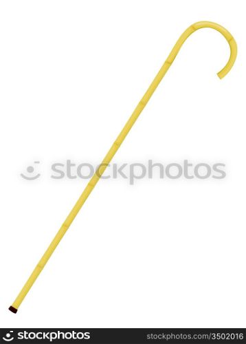 Vector illustration of a bamboo cane