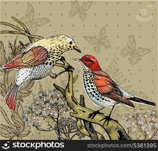 vector illustration of a birds couple and wild plants