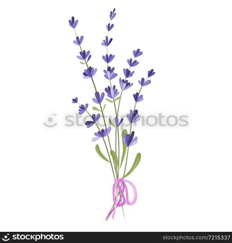Vector illustration of a bouquet of lavender flowers on a white background. Drawing elements for romantic greeting cards and invitations