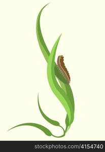 Vector illustration of a caterpillar climbing up a green leaf