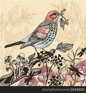 vector illustration of a colored bird and wild plants