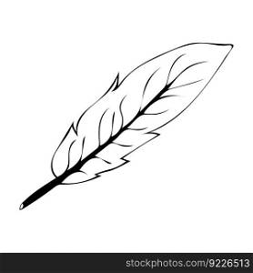 Vector illustration of a doodle-style pen drawn.. Vector illustration of a doodle-style pen drawn