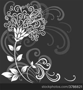 Vector illustration of a flower on the grey background