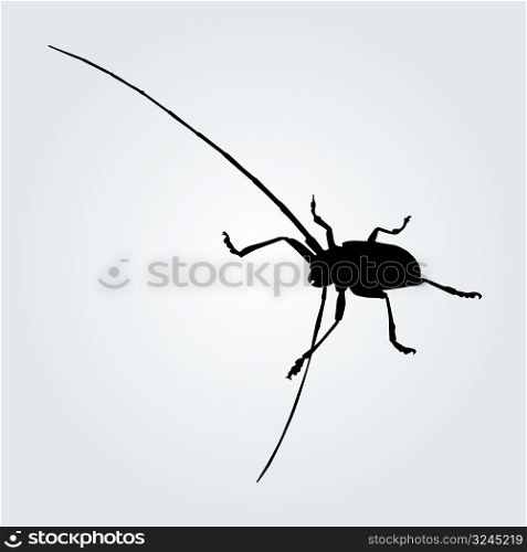 vector illustration of a long-horned beetle
