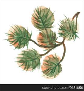 Vector illustration of a pine branch. Watercolor drawing on a white background.