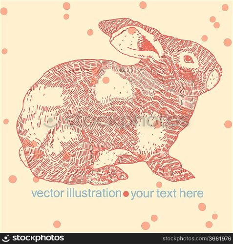vector illustration of a red bunny