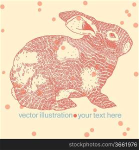 vector illustration of a red bunny