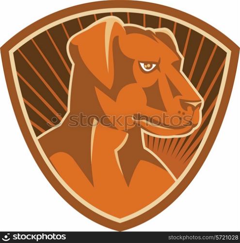 vector illustration of a sheepdog farm working dog breed border collie set inside shield done in retro style.