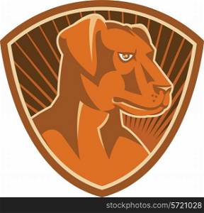 vector illustration of a sheepdog farm working dog breed border collie set inside shield done in retro style.