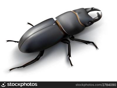 Vector illustration of a stag beetle isolated on white background