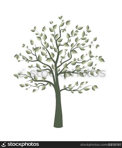 Vector illustration of a tree with leaves on a white background. Trees with leaves