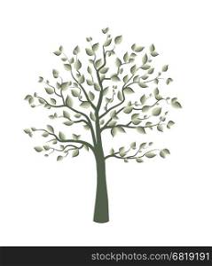 Vector illustration of a tree with leaves on a white background. Trees with leaves