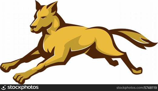 vector illustration of a wild dog wolf jumping viewed from front side done in retro style on isolated white background.. wild dog wolf jumping front retro