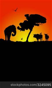 vector illustration of an african sunset