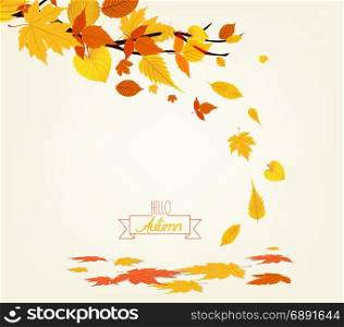 Vector Illustration of an Autumn Design