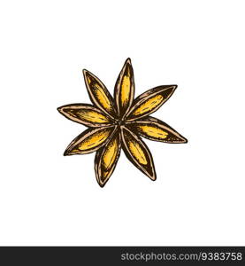 Vector illustration of anise star in freehand drawing style. Aromatherapy and oils, ingredients for mulled wine and seasoning.