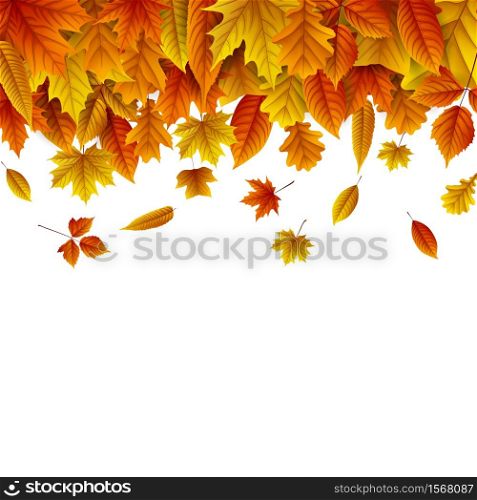 Vector illustration of Autumn leaves falling isolated on white background