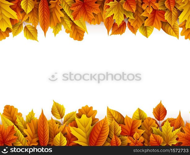 Vector illustration of Autumn leaves isolated on white background