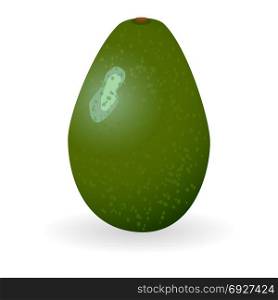 Vector illustration of avocado isolated on white background. Avocado Icon Vector
